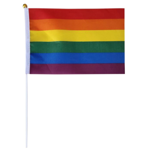 Rainbow LGBTQA Flag 30cm x 45cm