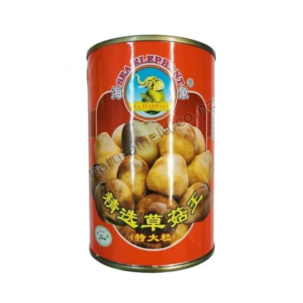 Sea Elephant Straw Mushroom 425g (V)