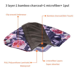 10 x Eco Pads Panty Sanitary Liners with Charcoal & PUL Lining, Clip-On, Incontinence