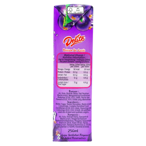 Delite Blackcurrant Drink (LS) 250ml x 4 x 6